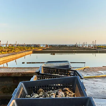 Maison Spacieuse 3 Avec Jardin Clos - Animaux Admis, Parking Disponible - Fr-1-540-261 * Notre-Dame-de-Monts