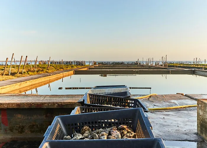 Maison Spacieuse 3 Avec Jardin Clos - Animaux Admis, Parking Disponible - Fr-1-540-261 * Notre-Dame-de-Monts